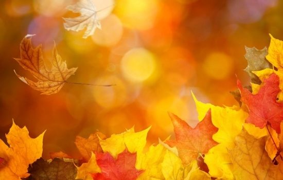Fun Fall Fiction Fun Fall Fiction